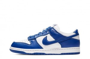 Nike Dunk Low Retro SP "Kentucky" Reps