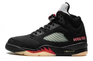 Wmns Air Jordan 5 Retro GORE-TEX "Off-Noir" Reps