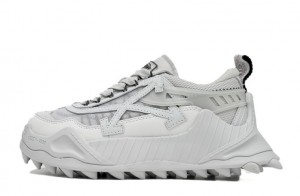 Wmns Off-White Odsy-1000 "Light Grey" Replica